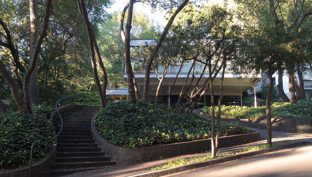 Donald and Helen Olsen House behind trees with adjoining staircase
