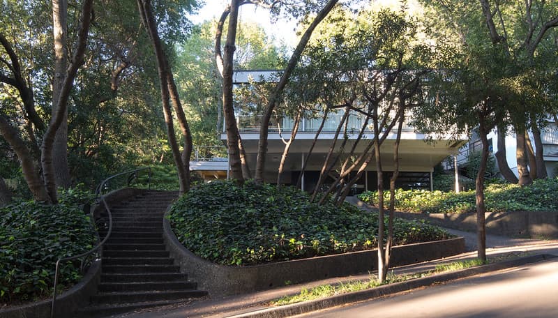 Donald and Helen Olsen House behind trees with adjoining staircase
