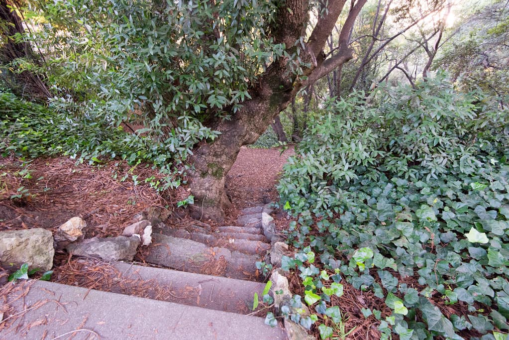 Looking down staircase into John Hinkel Park from San Diego Rd