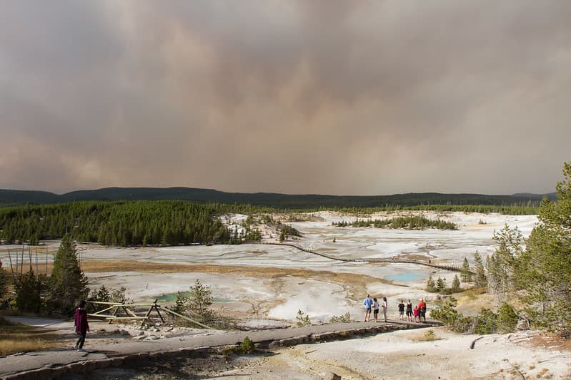 Norrisgeyserbasin, porcelainbasin, smoke