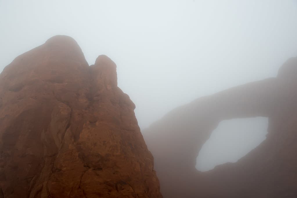 A dreamy South Window.