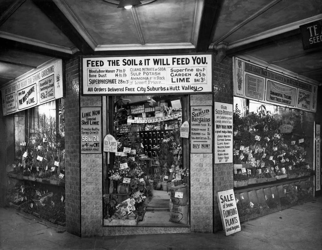 8; Te Aro Seed Company, shop front, Courtenay Place
