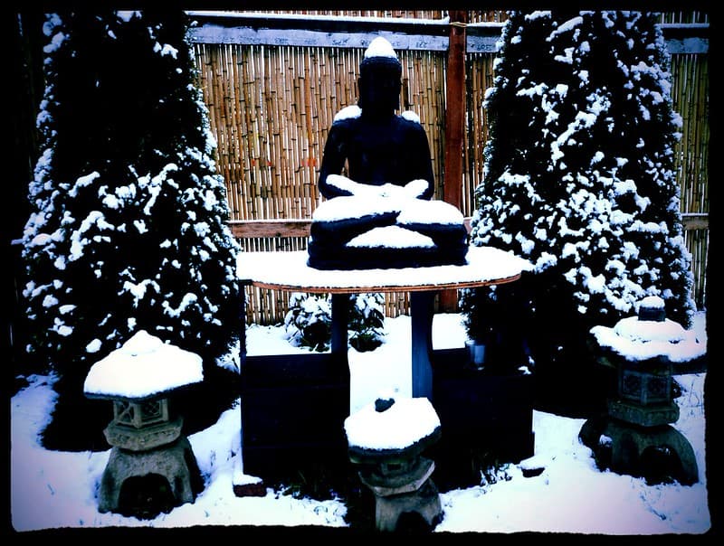 Stavenw, agardenforthebuddha, bamboofence