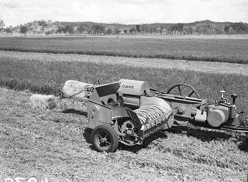 Sliced hay baler in lucerne field, c1953