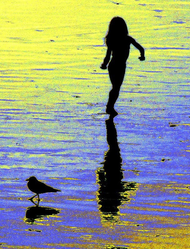 Beach Colors