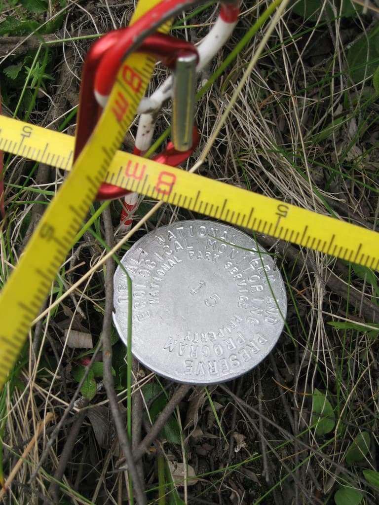 Plot marker for vegetation monitoring in Denali National Park
