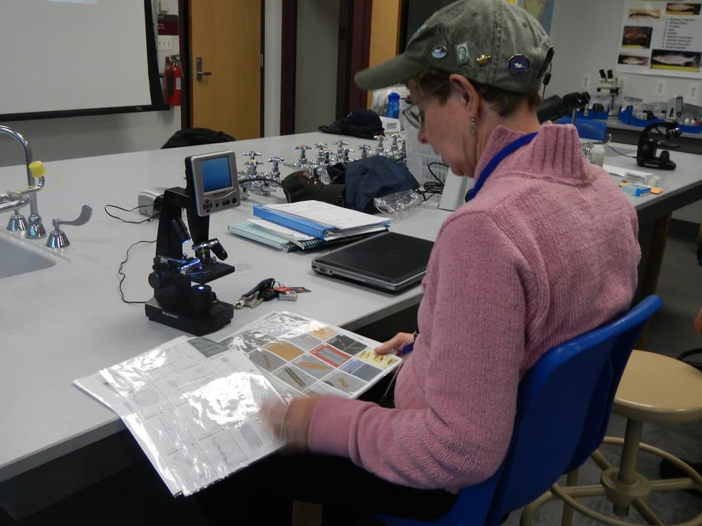 2013 MAEOE Educator Workshop
