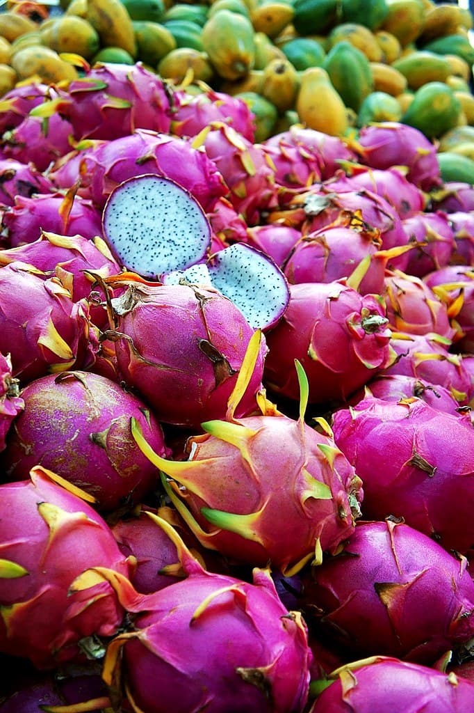 Le Pitaya, Le Fruit du Dragon