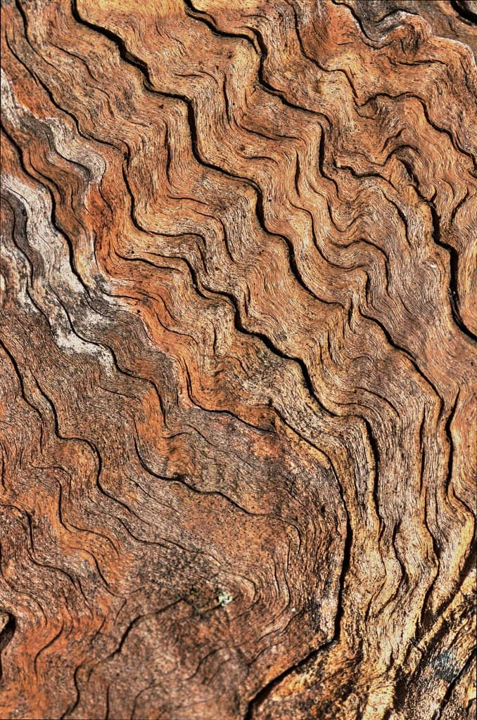 Texture