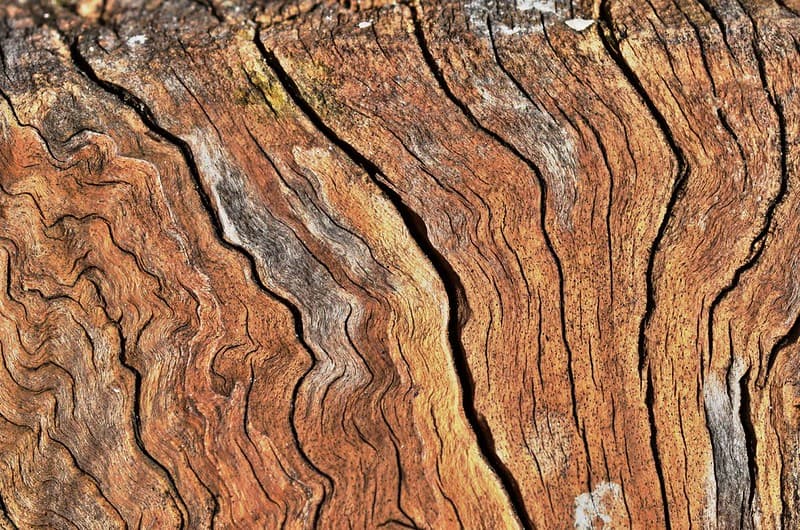 Texture