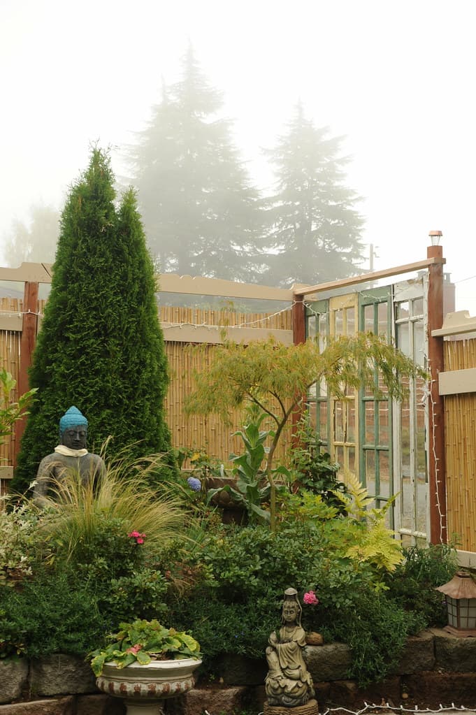 Stavenw, bamboofence, broadview