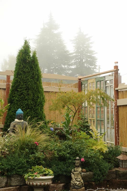 Stavenw, bamboofence, broadview