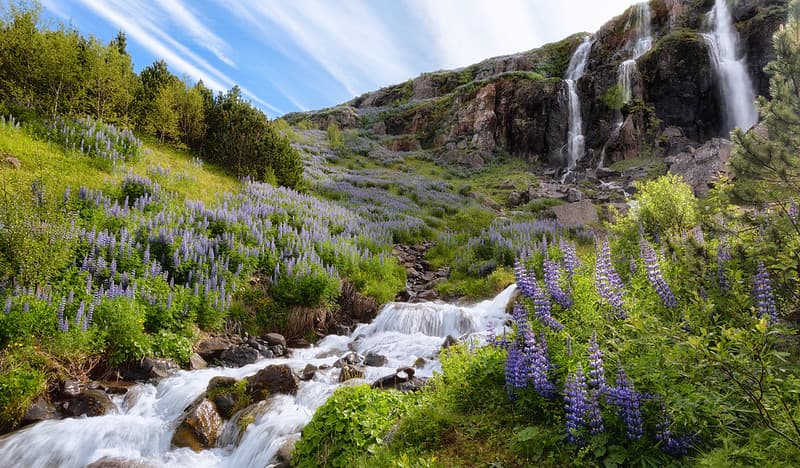 Búðarárfoss Waterfall
