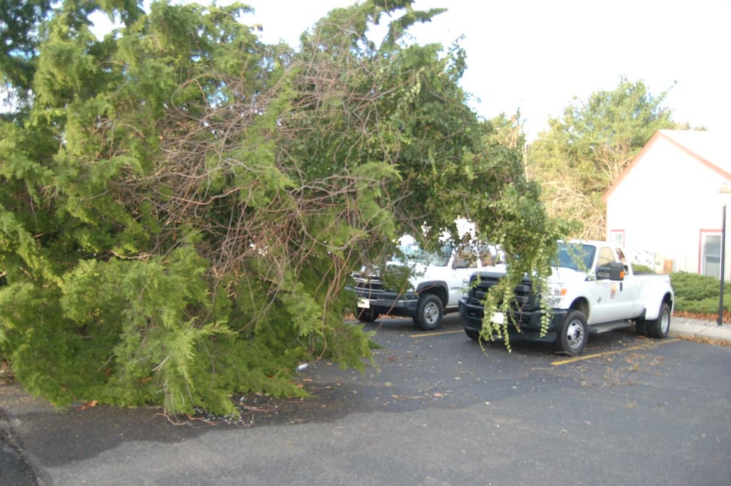 Hurricane Sandy hit the New Jersey Field Office