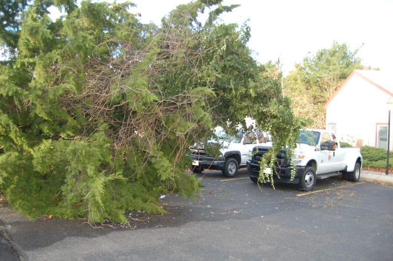 Hurricane Sandy hit the New Jersey Field Office