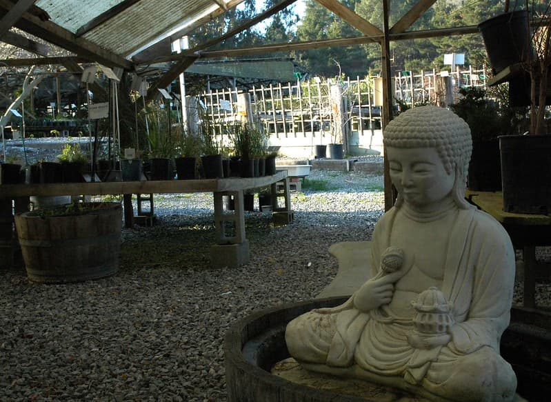 Bud, california, design