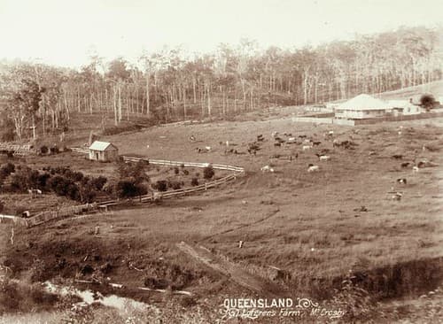 Lofgren's Farm at Mount Crosby, c 1898