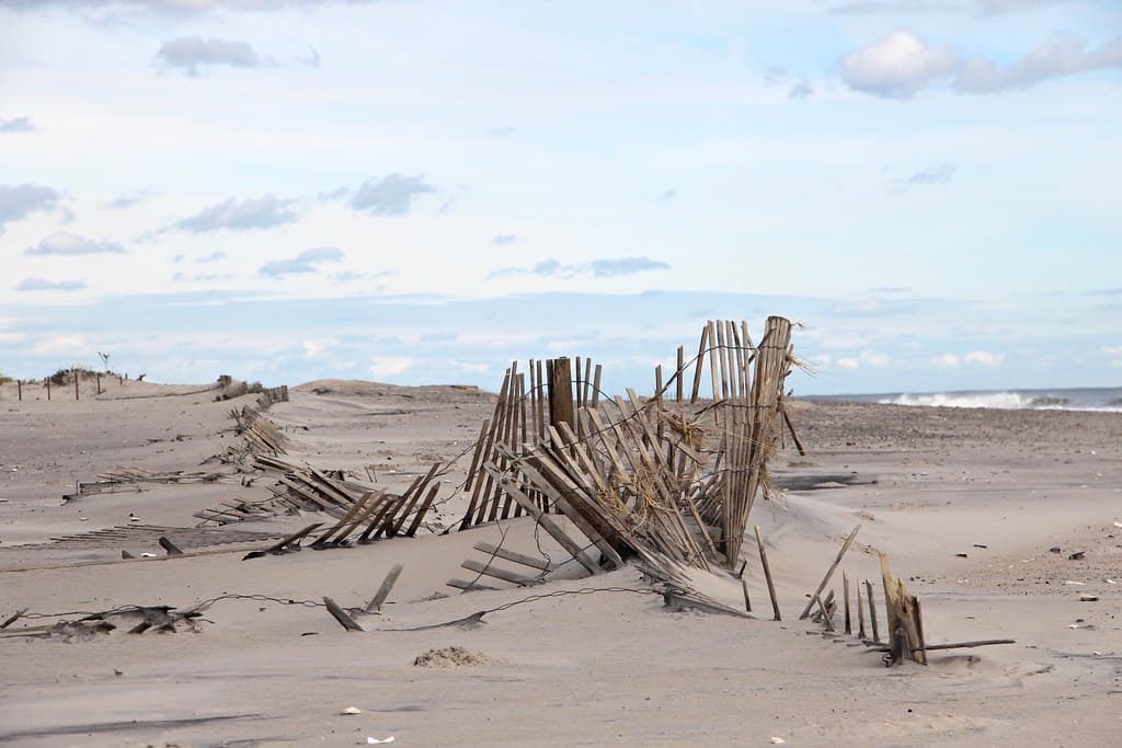 Sandfence South Ocean Beach, MD District
