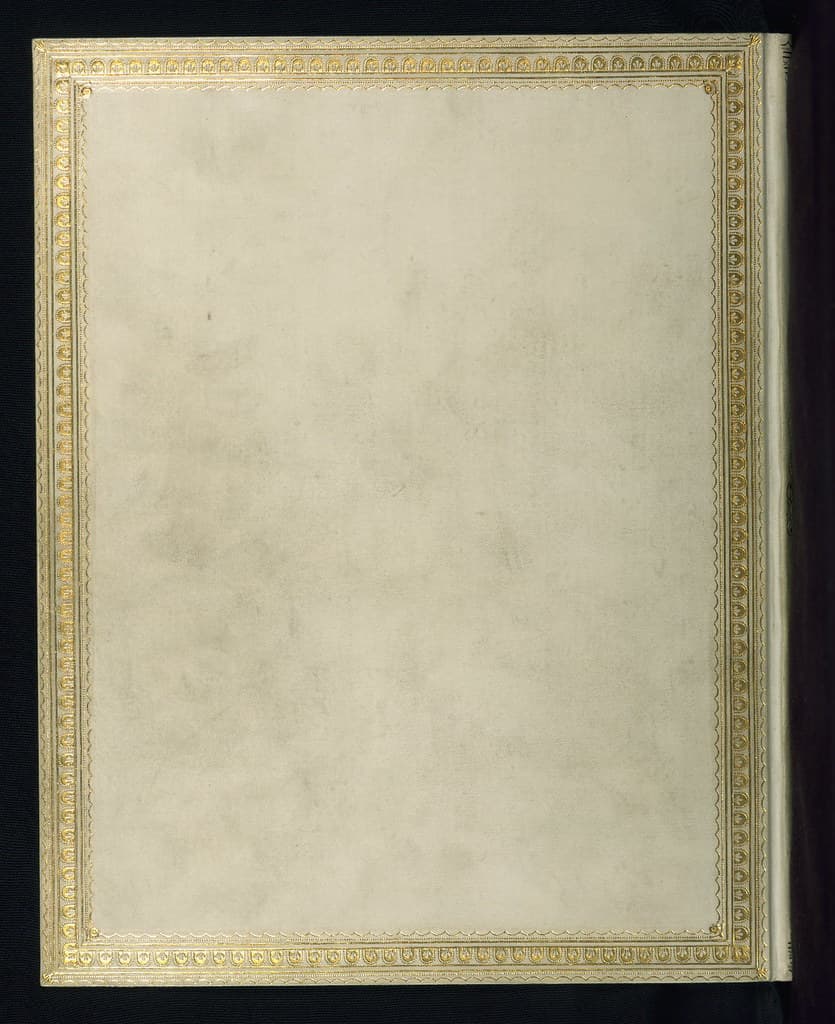 Thcentury, bible, binding