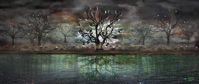 AX TREE - Illegal logging