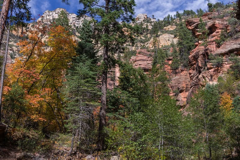 West Fork of Oak Creek Canyon No. 108
