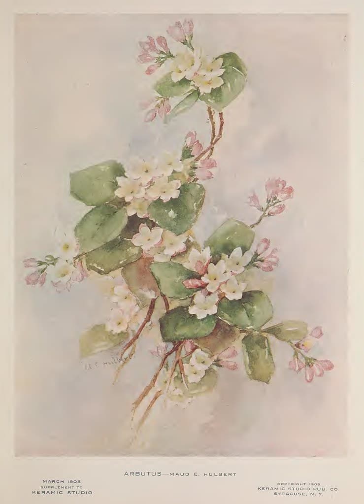 1908 Arbutus Keramic Studio