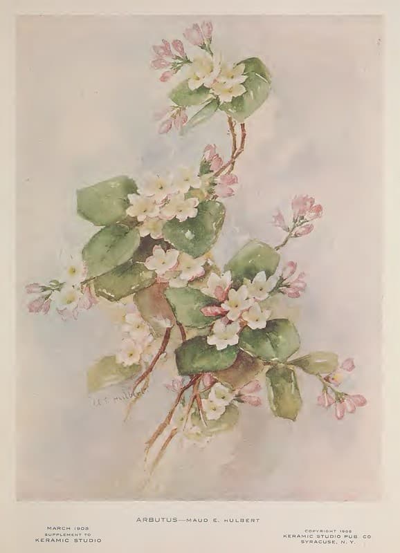 1908 Arbutus Keramic Studio