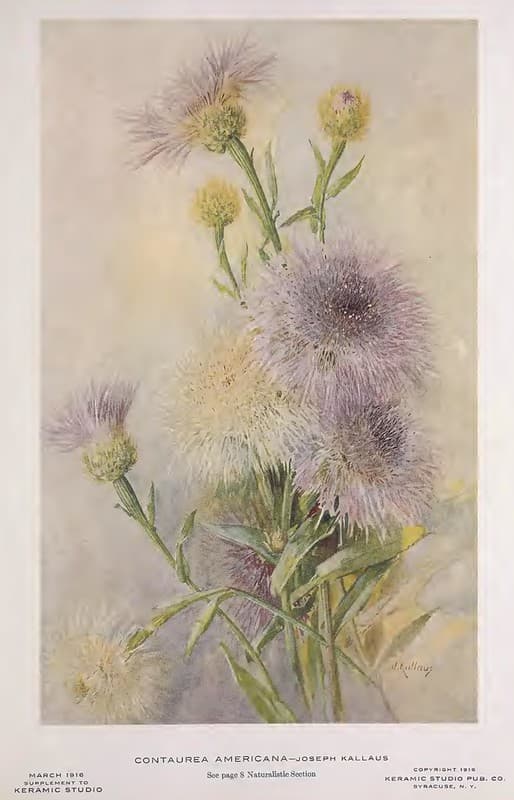 1916 Centaurea Keramic Studio
