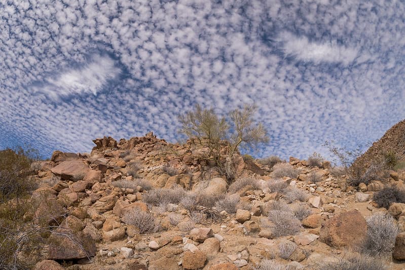 Fallstreak Holes in Cirrocumulus Clouds