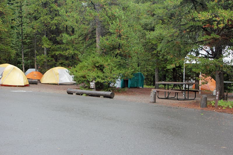 Bridge Bay Campground group site