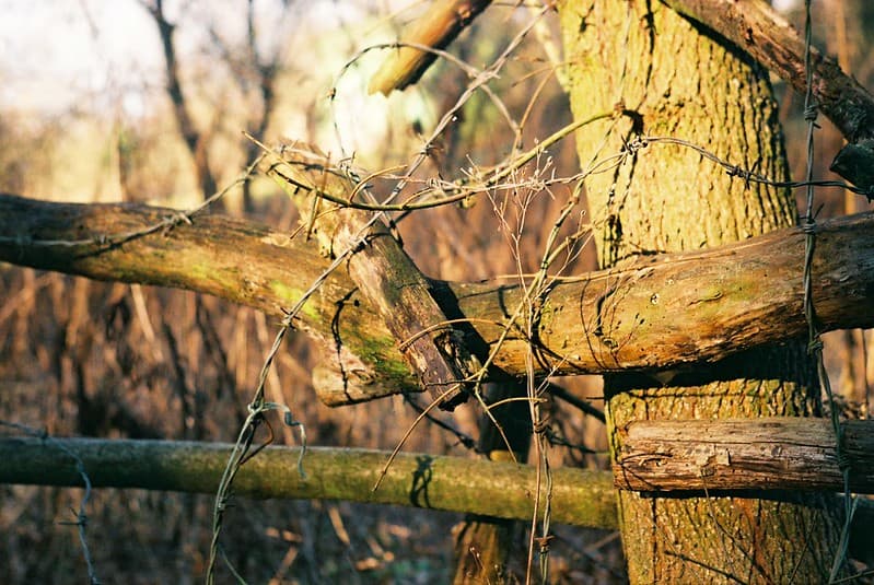 Praktica MTL 3 + Industar-61 L/Z - Barbed Wire Study 2