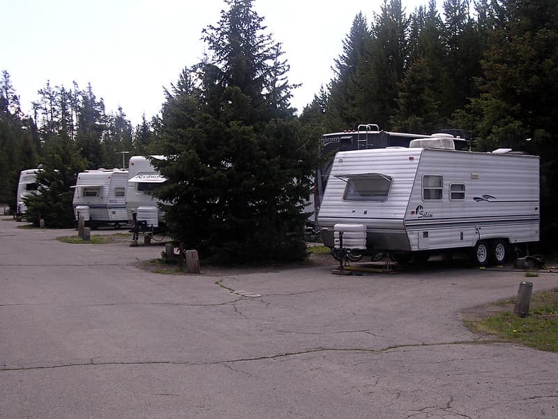 RVs at Fishing Bridge Campground