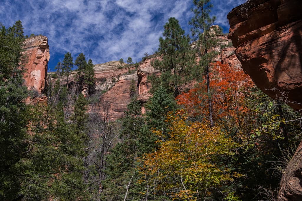 West Fork of Oak Creek Canyon No. 108