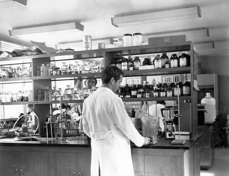 Archive, brisbane, entomology