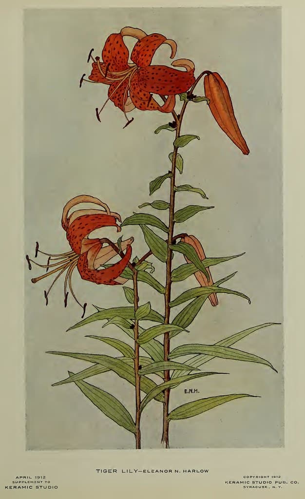 1912 Tiger Lily Keramic Studio
