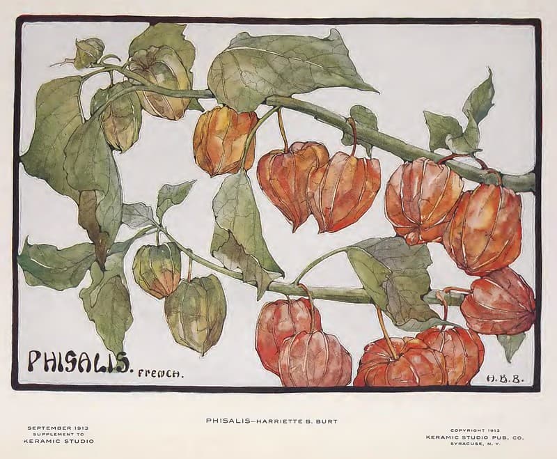 1913 Phisalis Keramic Studio