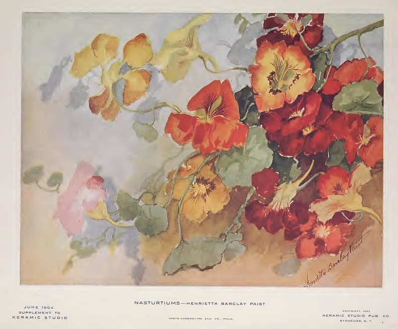 1904 Nasturtiums Keramic Studio