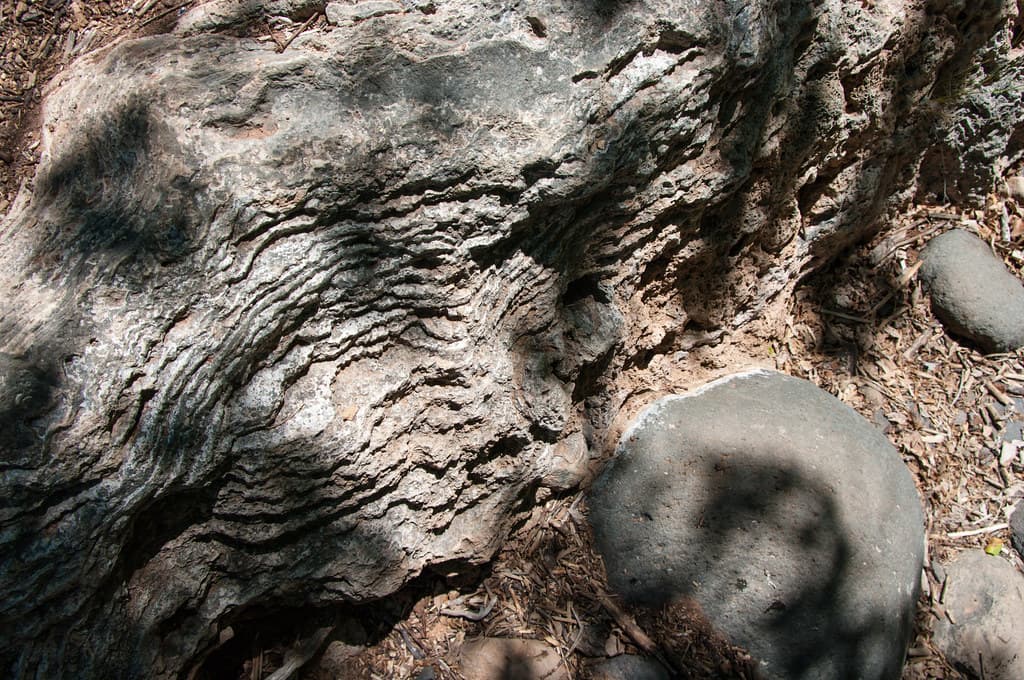 Waterfall Trail on Fossil Creek
