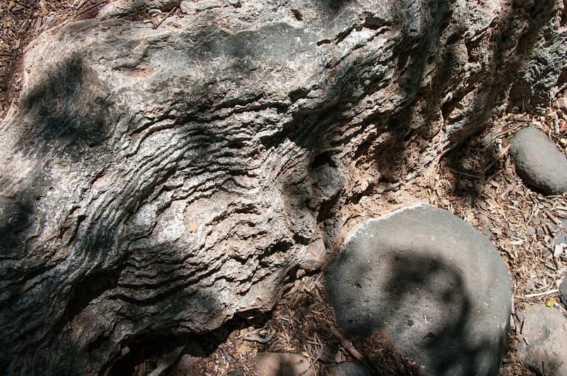 Waterfall Trail on Fossil Creek