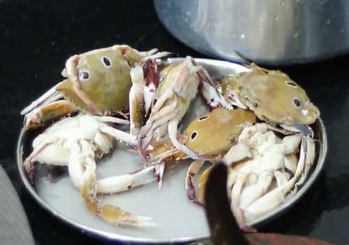 #crab #seafood #food
