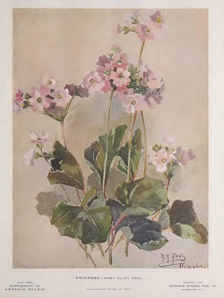 1903 Primrose Keramic Studio