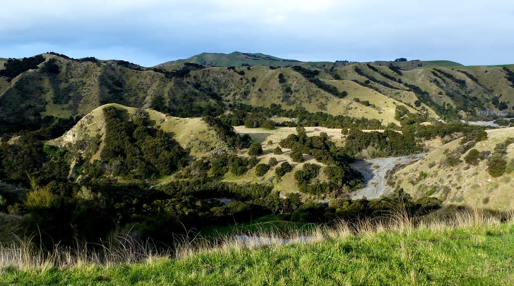 Clarence River Valley. Marlbrough.NZ FZ200