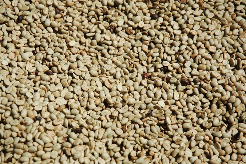 Coffee beans