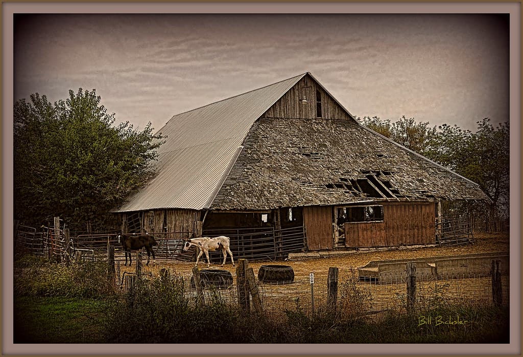 Old Horse Barn