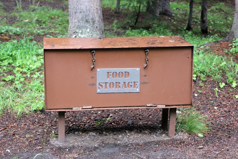 Bear-proof food storage box