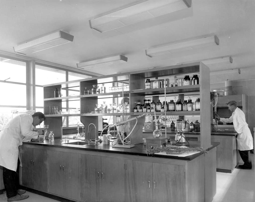 Archive, brisbane, entomology