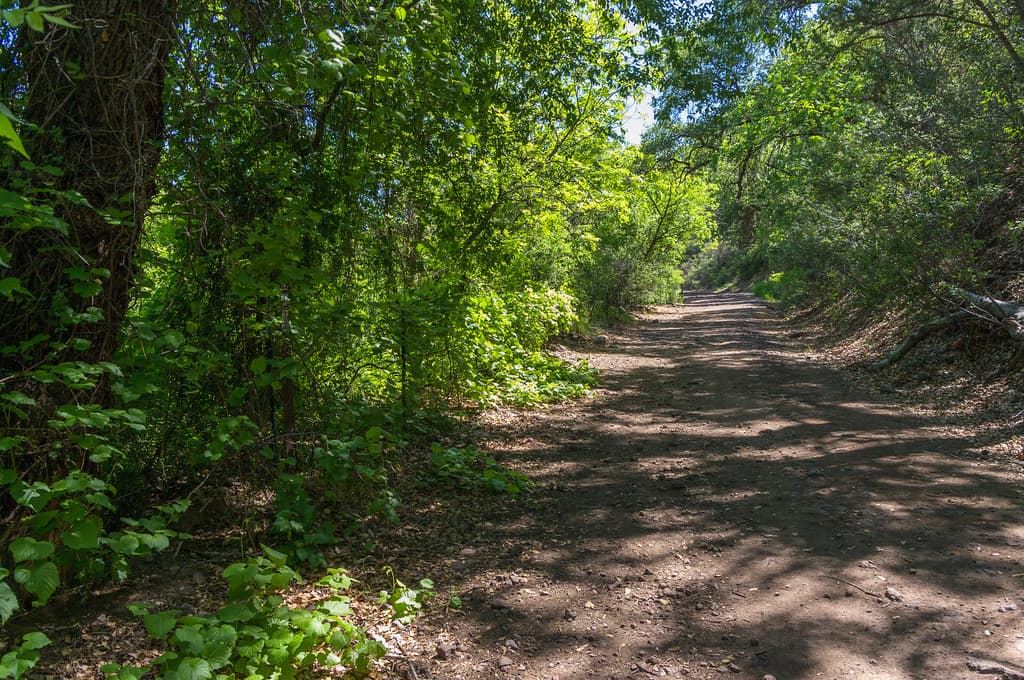 Waterfall Trail on Fossil Creek