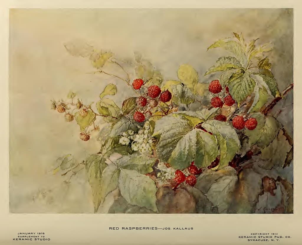 1915 Red Rasberries Keramic Studio