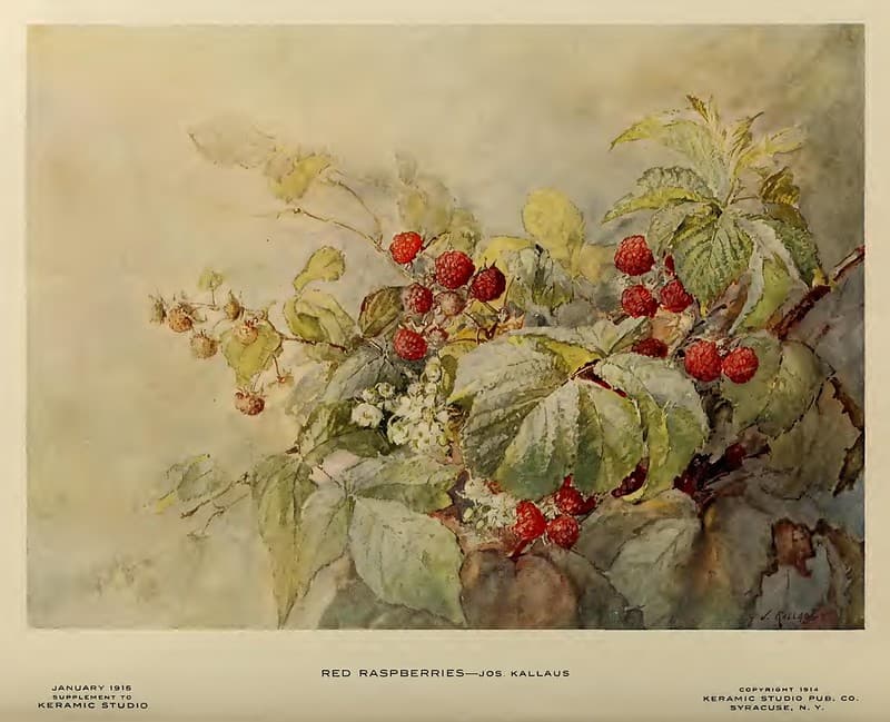 1915 Red Rasberries Keramic Studio