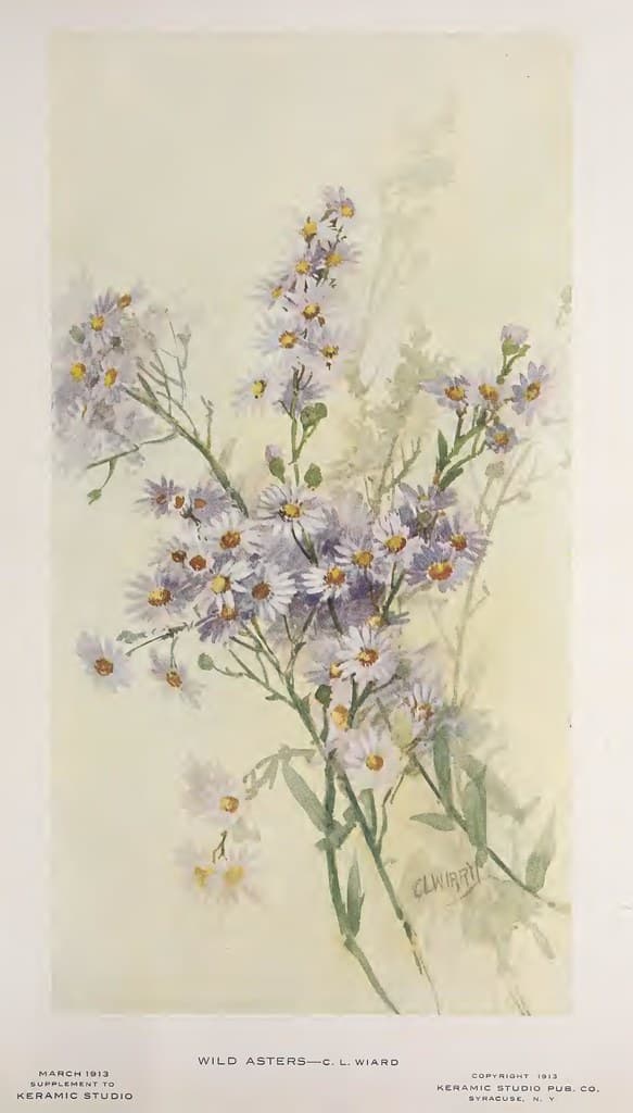 1913 Wild Asters Keramic Studio